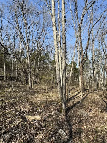 $139,900 | 0 Cainsville Road, Lascassas, TN 37085