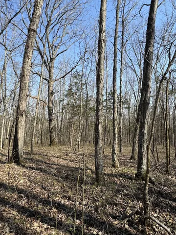 $139,900 | 0 Cainsville Road, Lascassas, TN 37085