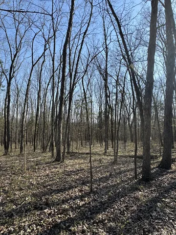 $139,900 | 0 Cainsville Road, Lascassas, TN 37085