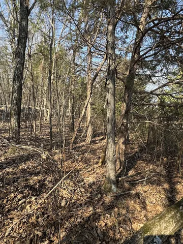 $139,900 | 0 Cainsville Road, Lascassas, TN 37085