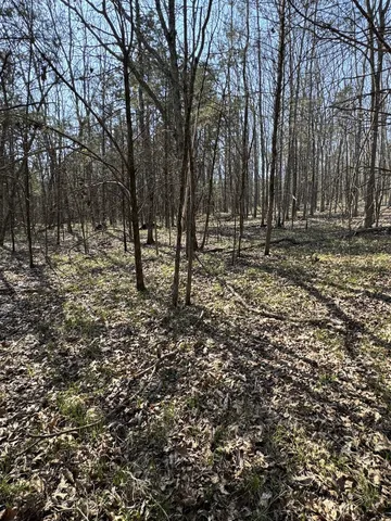 $139,900 | 0 Cainsville Road, Lascassas, TN 37085