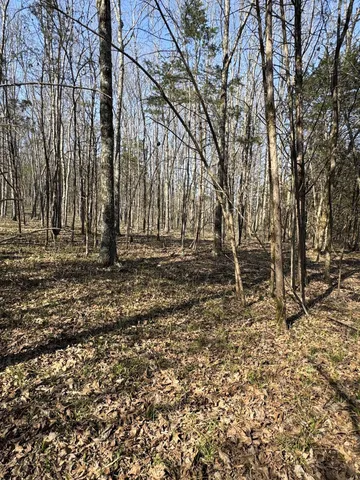 $139,900 | 0 Cainsville Road, Lascassas, TN 37085