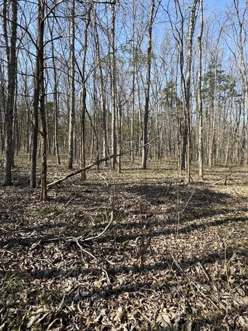 $139,900 | 0 Cainsville Road, Lascassas, TN 37085