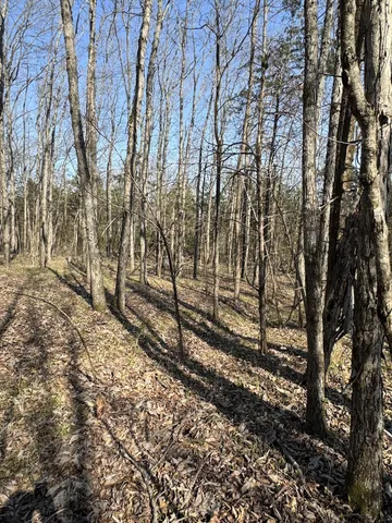 $139,900 | 0 Cainsville Road, Lascassas, TN 37085