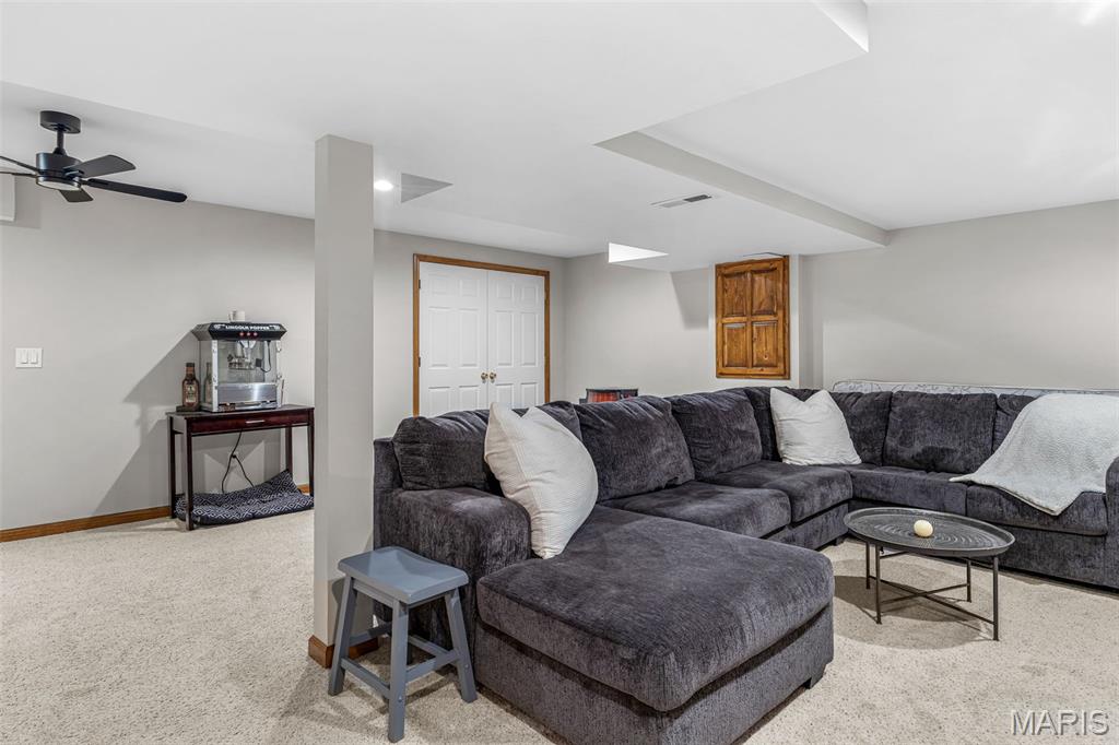 4777 Ems Road Hillsboro, MO 63050 - Photo 52 of 58