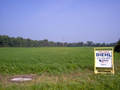 Primary Photo