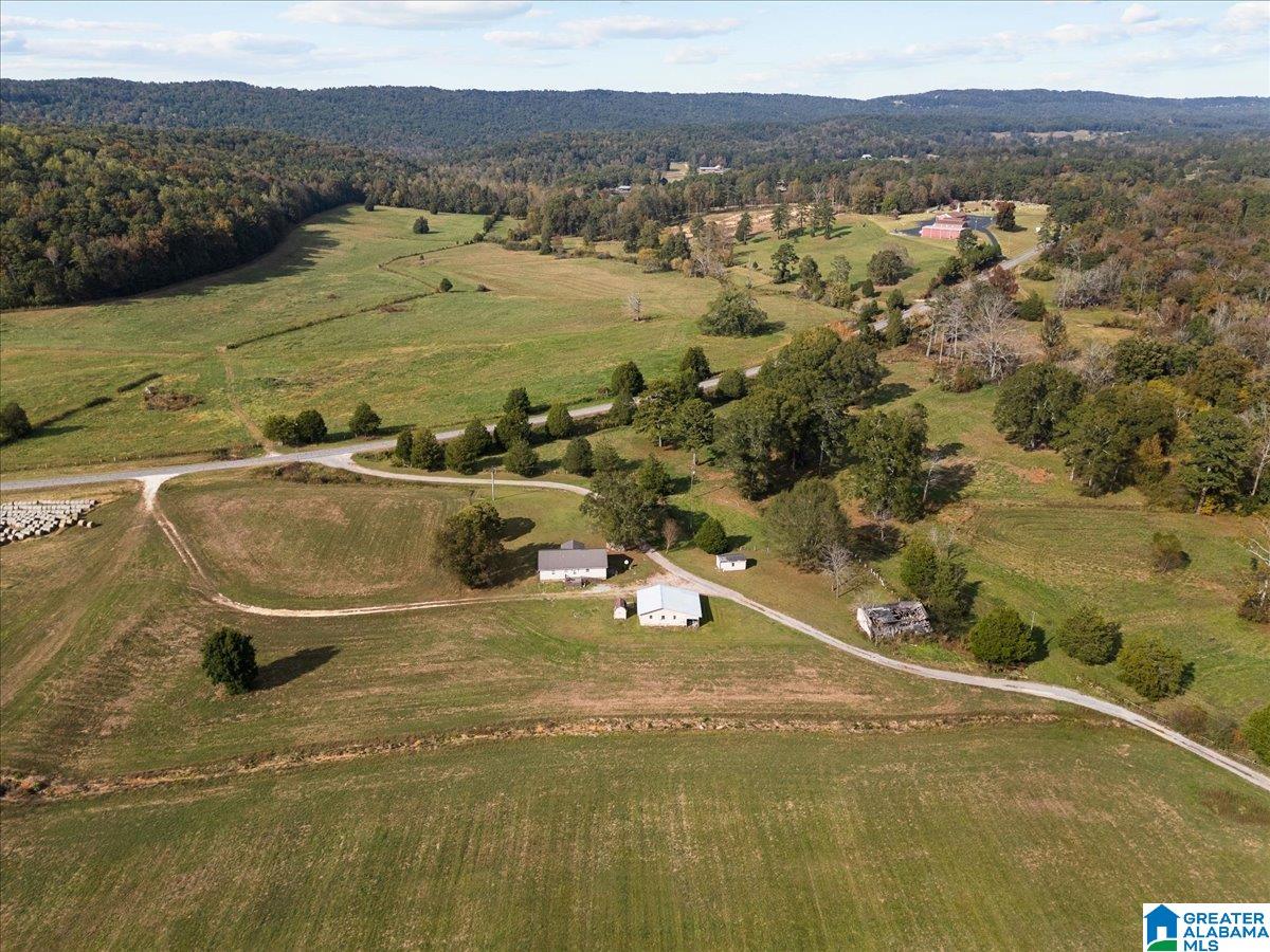 11175 Gallant Road Gallant, AL 35972 - Photo 42 of 44 Gallery Image 42
