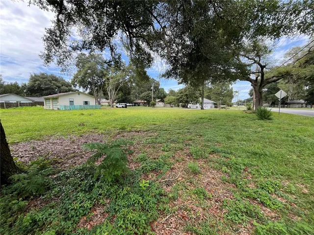a view of backyard with large trees
