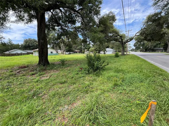 a large green field with lots of bushes