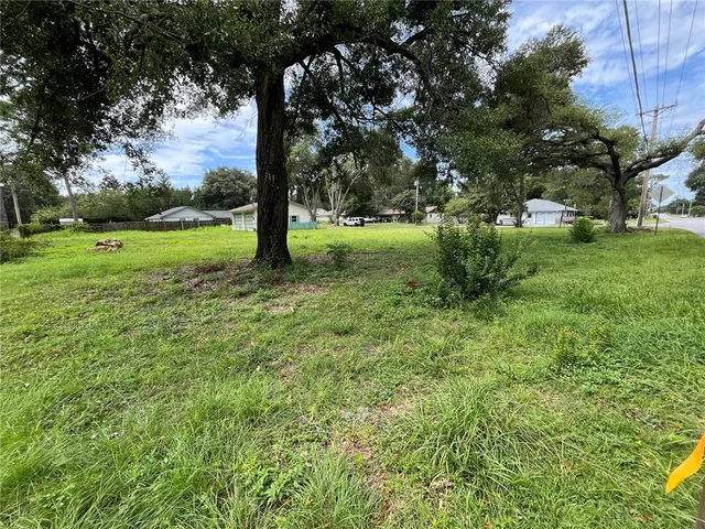 a view of a garden with trees