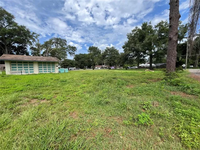 a view of a big yard with plants and large trees