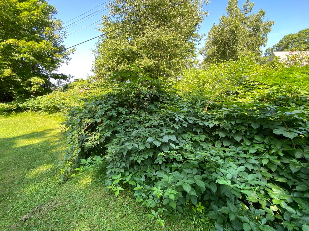 10515 Verona Road Ramsay, MI 49959 - Photo 45 of 49 Gallery Image 45