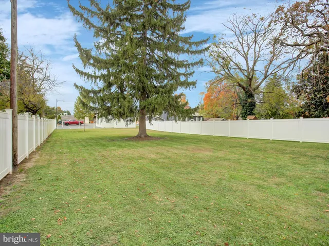 a view of yard with tree