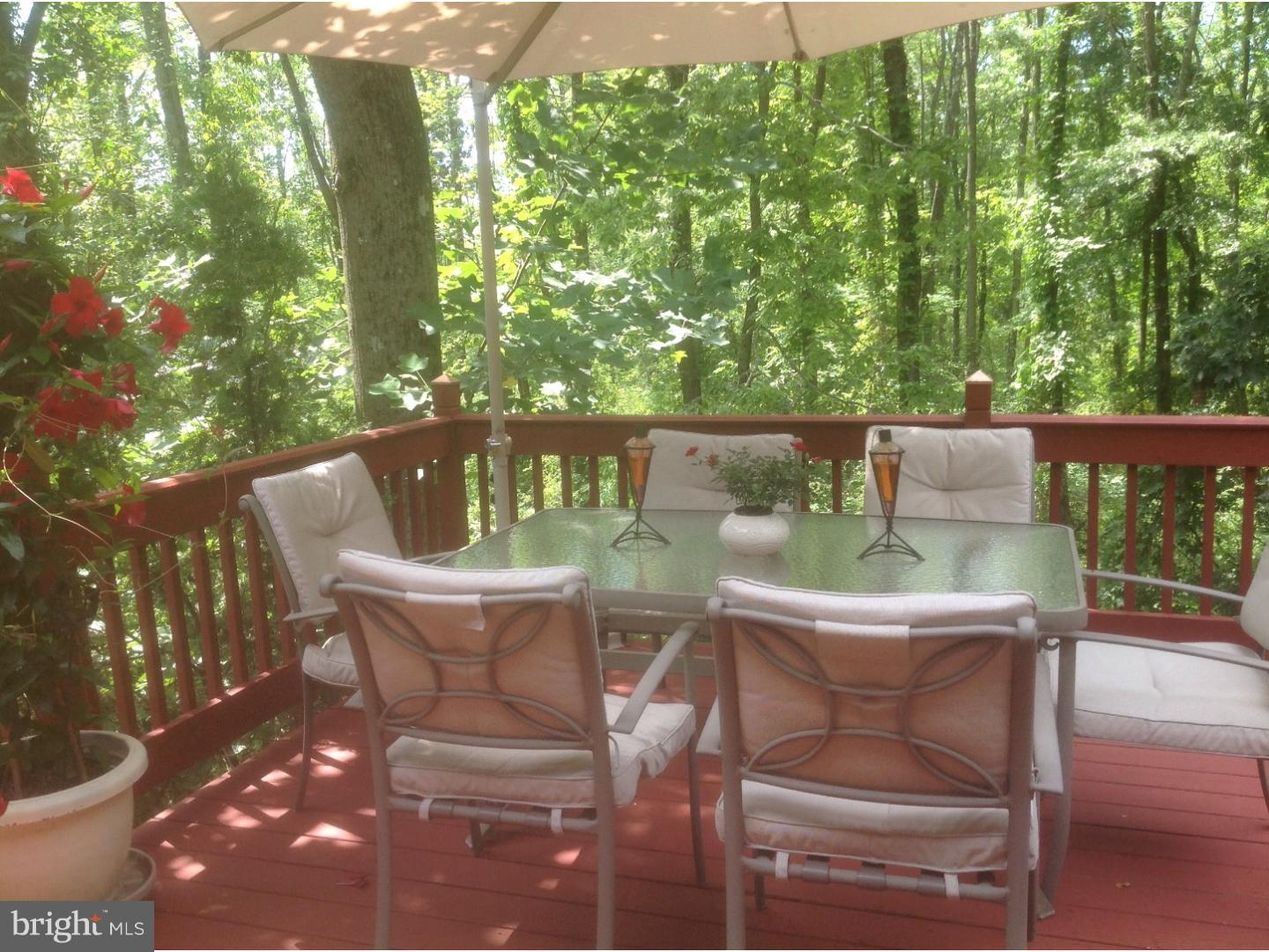 335 Center Hill Road Upper Black Eddy, PA 18972 - Photo 13 of 25 Deck