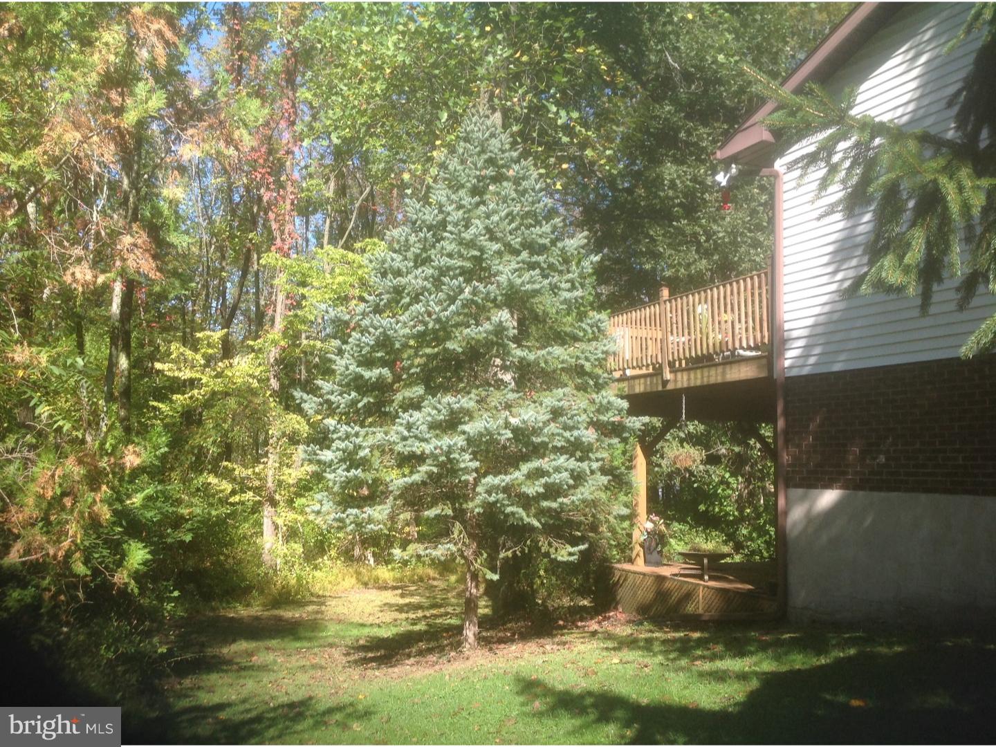 335 Center Hill Road Upper Black Eddy, PA 18972 - Photo 21 of 25 Side Yard