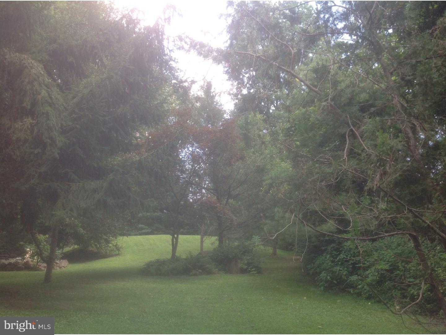 335 Center Hill Road Upper Black Eddy, PA 18972 - Photo 22 of 25 Side Yard