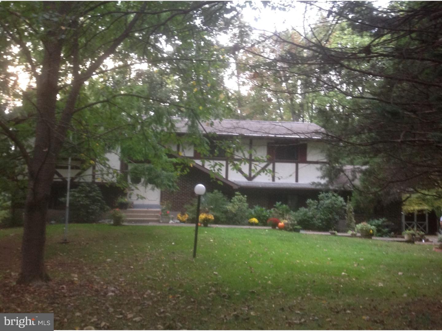 335 Center Hill Road Upper Black Eddy, PA 18972 - Photo 3 of 25 Front Yard