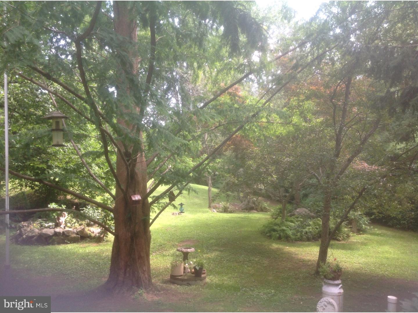 335 Center Hill Road Upper Black Eddy, PA 18972 - Photo 4 of 25 Front Yard