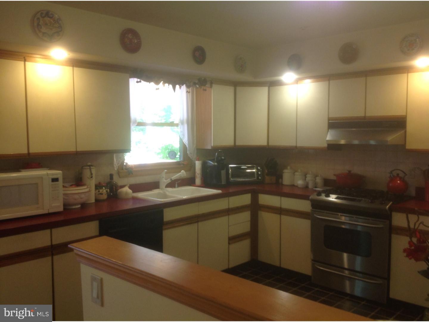 335 Center Hill Road Upper Black Eddy, PA 18972 - Photo 9 of 25 Kitchen