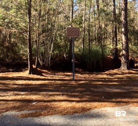 24511 Gulf Bay Road Orange Beach, AL 36561 - Photo 6 of 13 across the street
