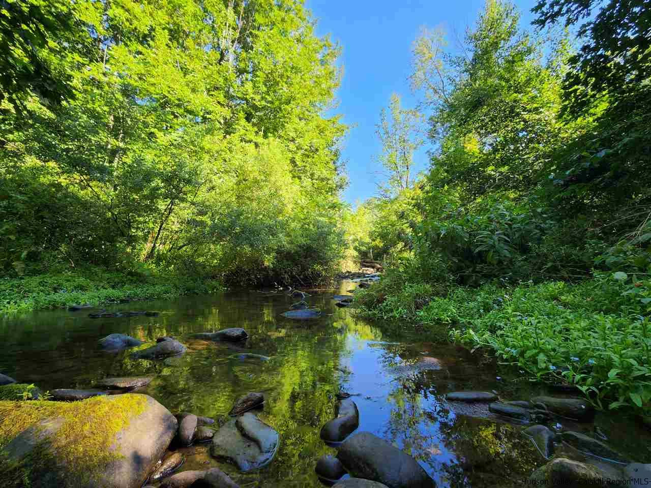 61 Birch Pine Hill Pine Hill, NY 12465 - Photo 3 of 11 a view of a lake from a yard