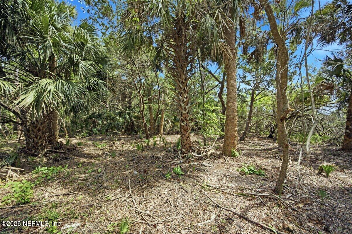 3258 Lewis Speedway St. Augustine, FL 32084 - Photo 6 of 10 a view of outdoor space with trees