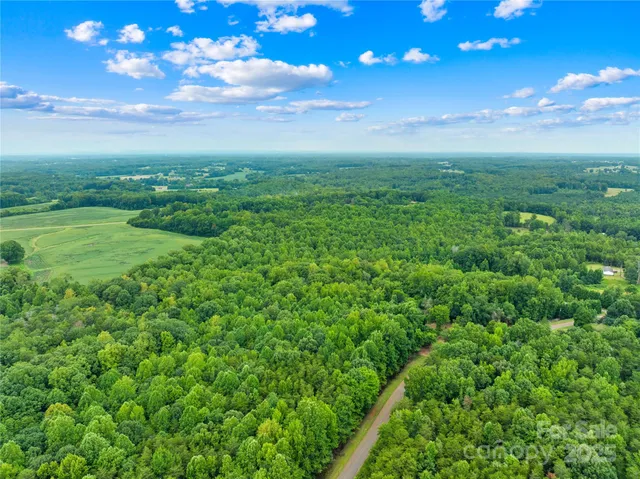 a view of a big yard with large trees