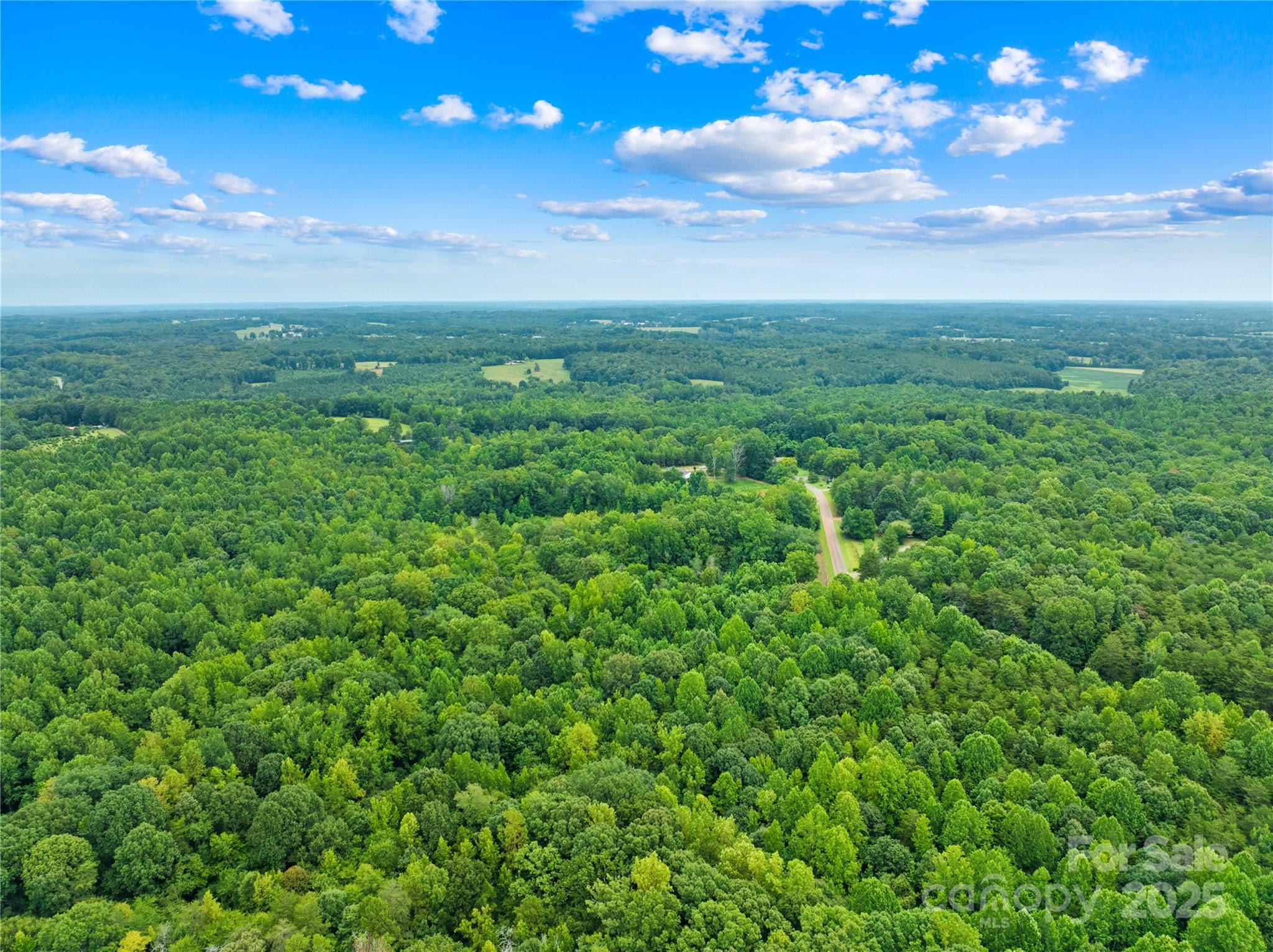 267 Idaho Road, Unit 2 Statesville, NC 28625 - Photo 17 of 19 a view of a big yard with large trees