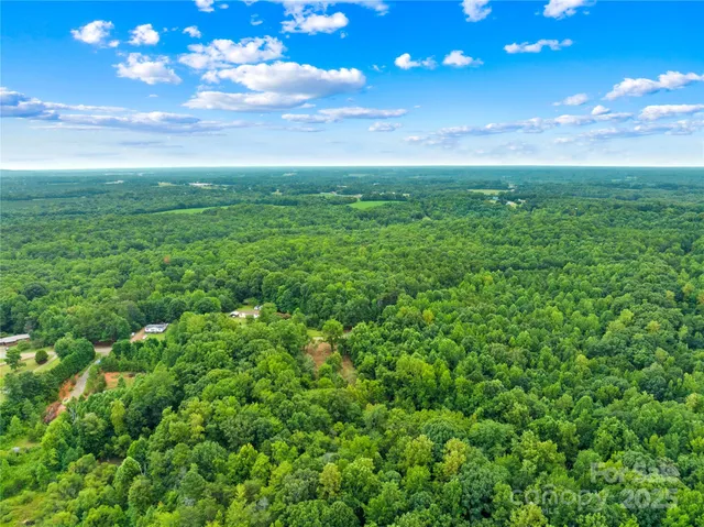 a view of a big yard with large trees