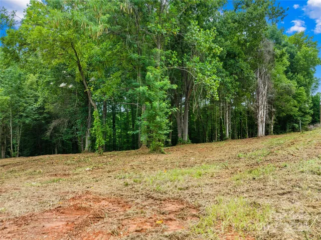 a view of a yard with trees
