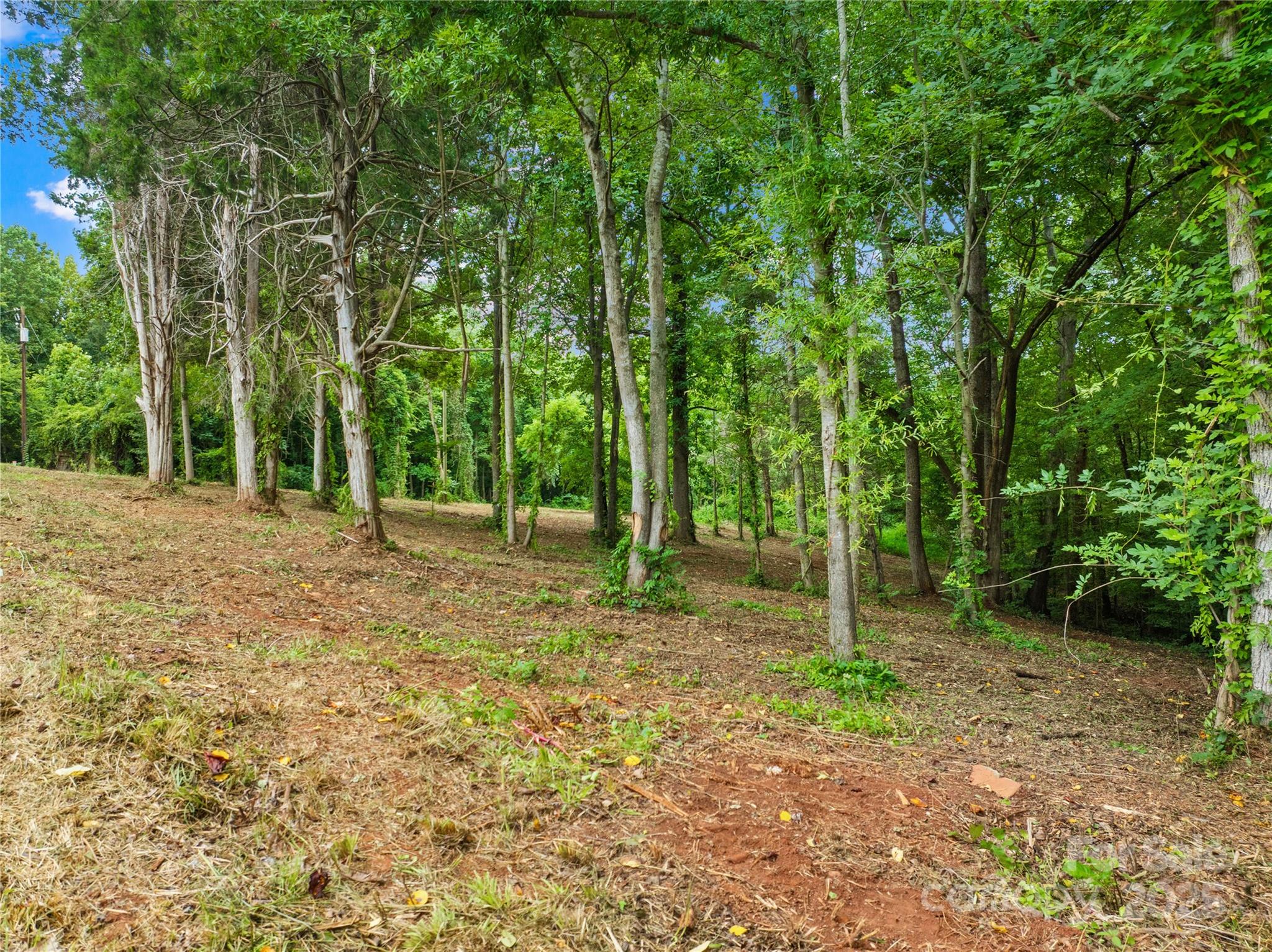 267 Idaho Road, Unit 2 Statesville, NC 28625 - Photo 7 of 19 a backyard of a house with lots of green space