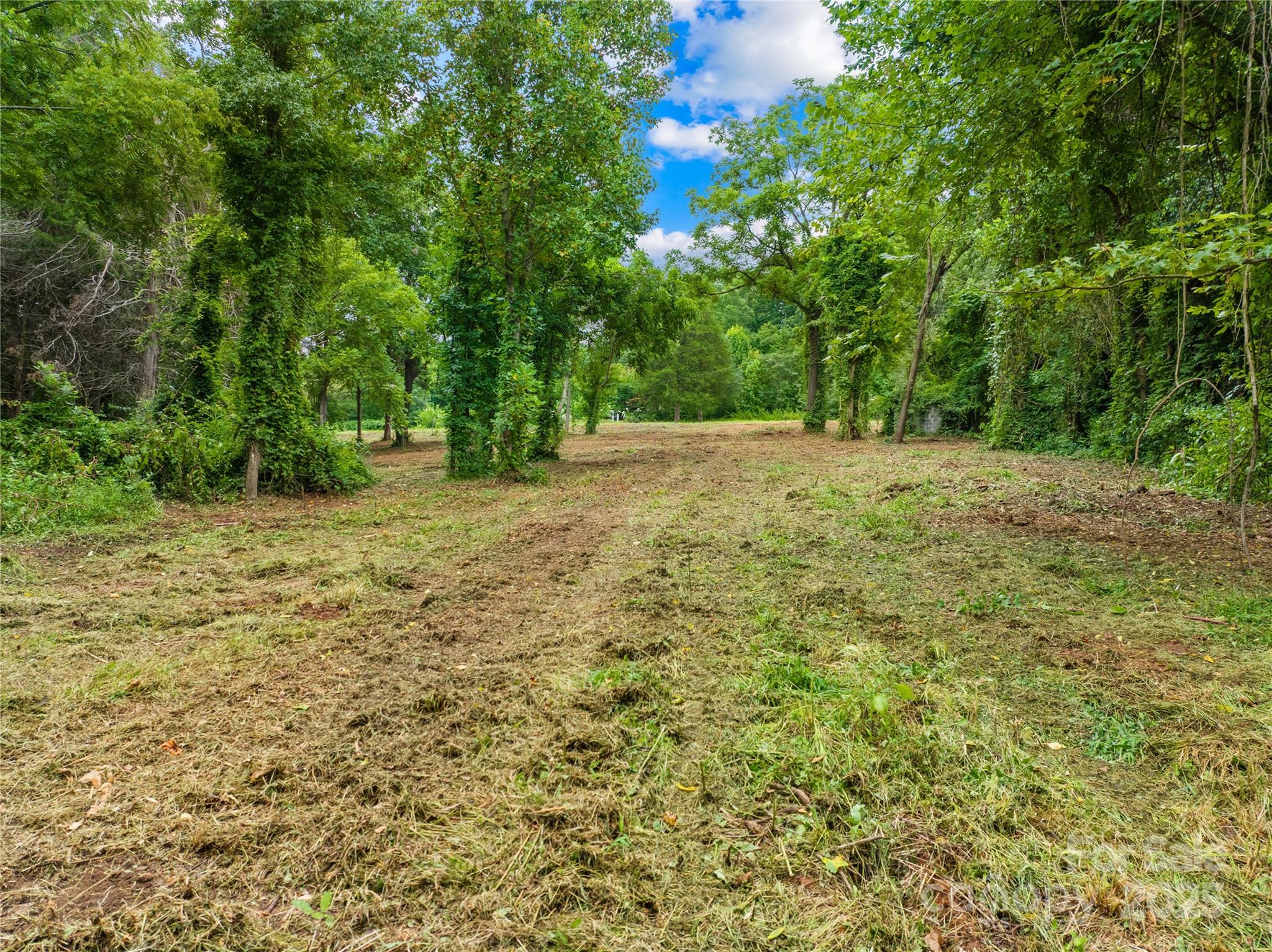 267 Idaho Road, Unit 2 Statesville, NC 28625 - Photo 9 of 19 a view of a yard with a tree