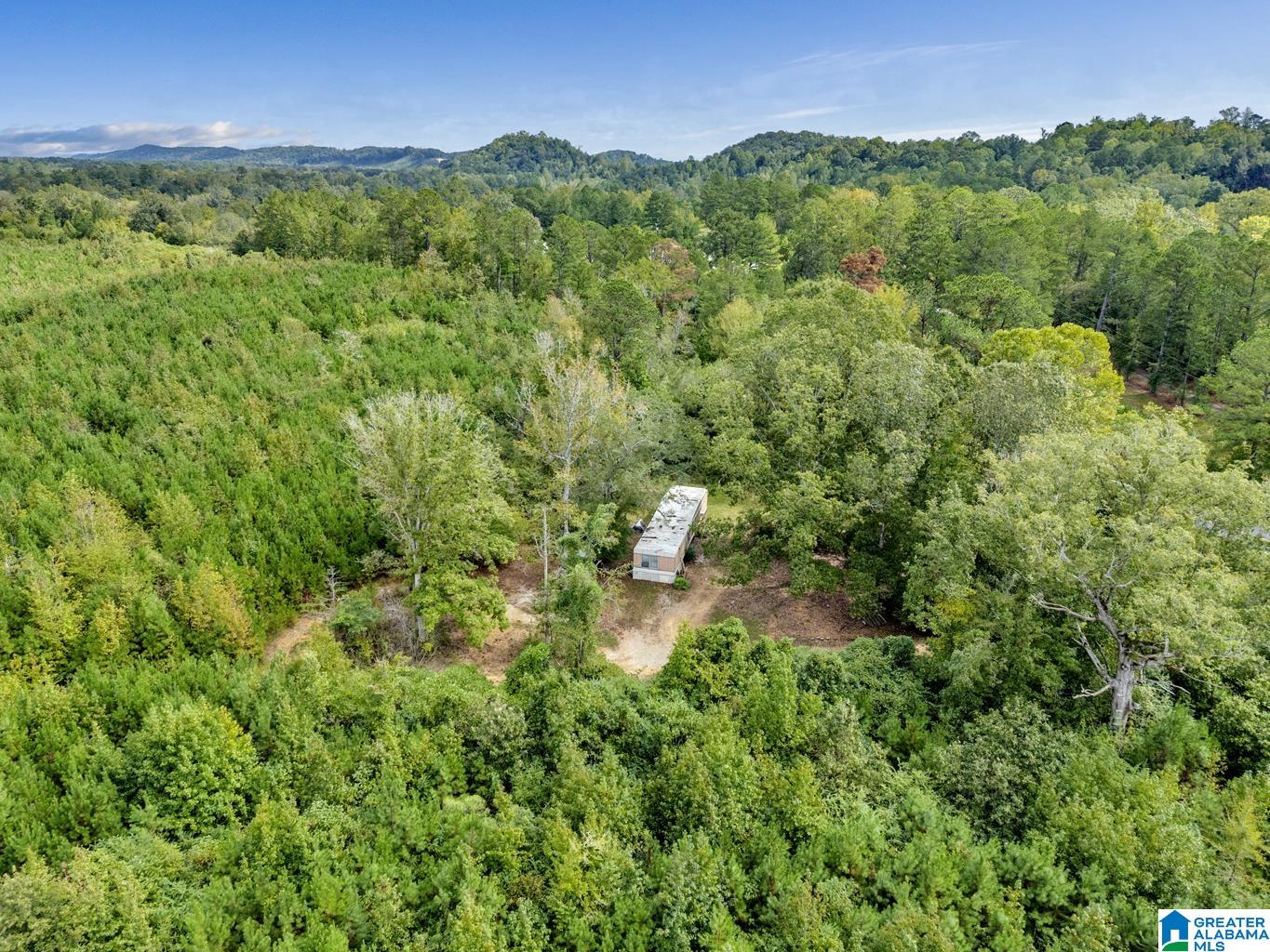 0 Warrior Road Ohatchee, AL 36271 - Photo 20 of 25