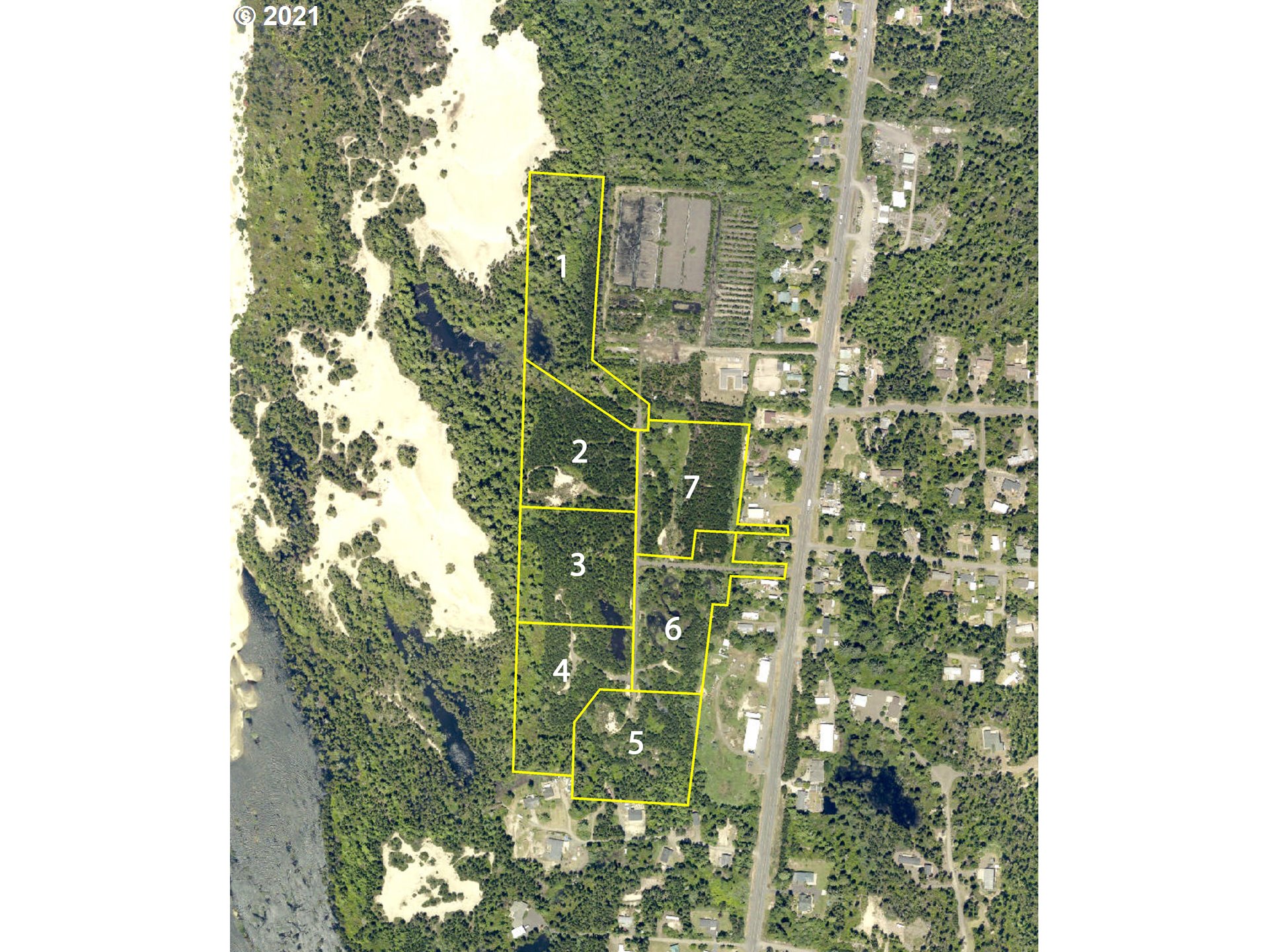 Bellevue Drive, Unit 4 Florence, OR 97439 - Photo 3 of 6 a close up of a tree