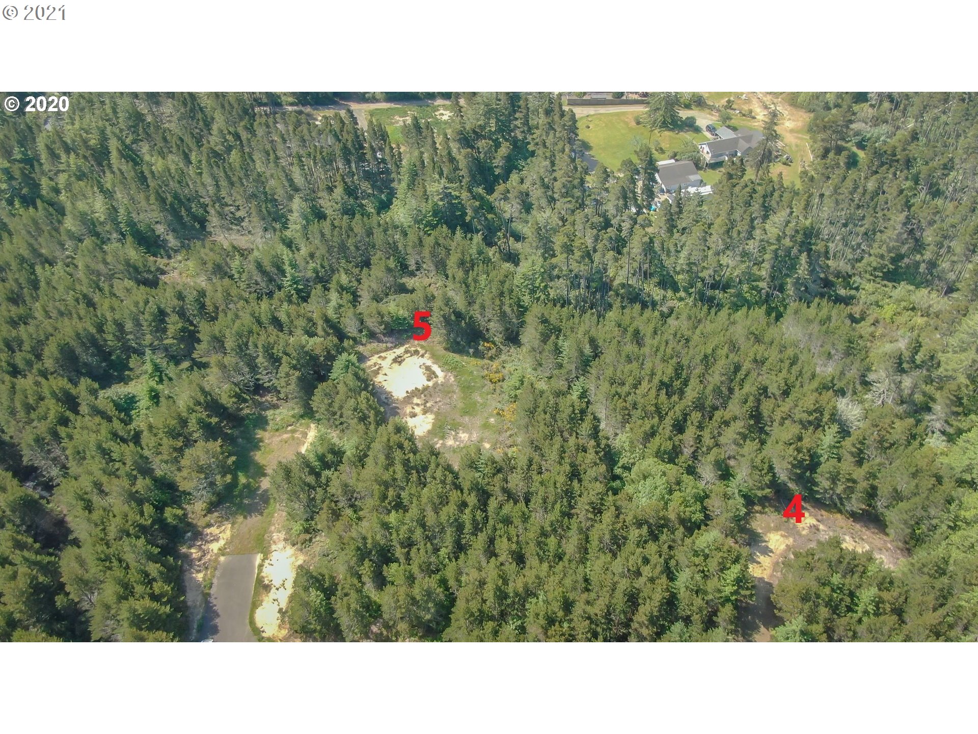 Bellevue Drive, Unit 4 Florence, OR 97439 - Photo 5 of 6 a black and white photo of a forest