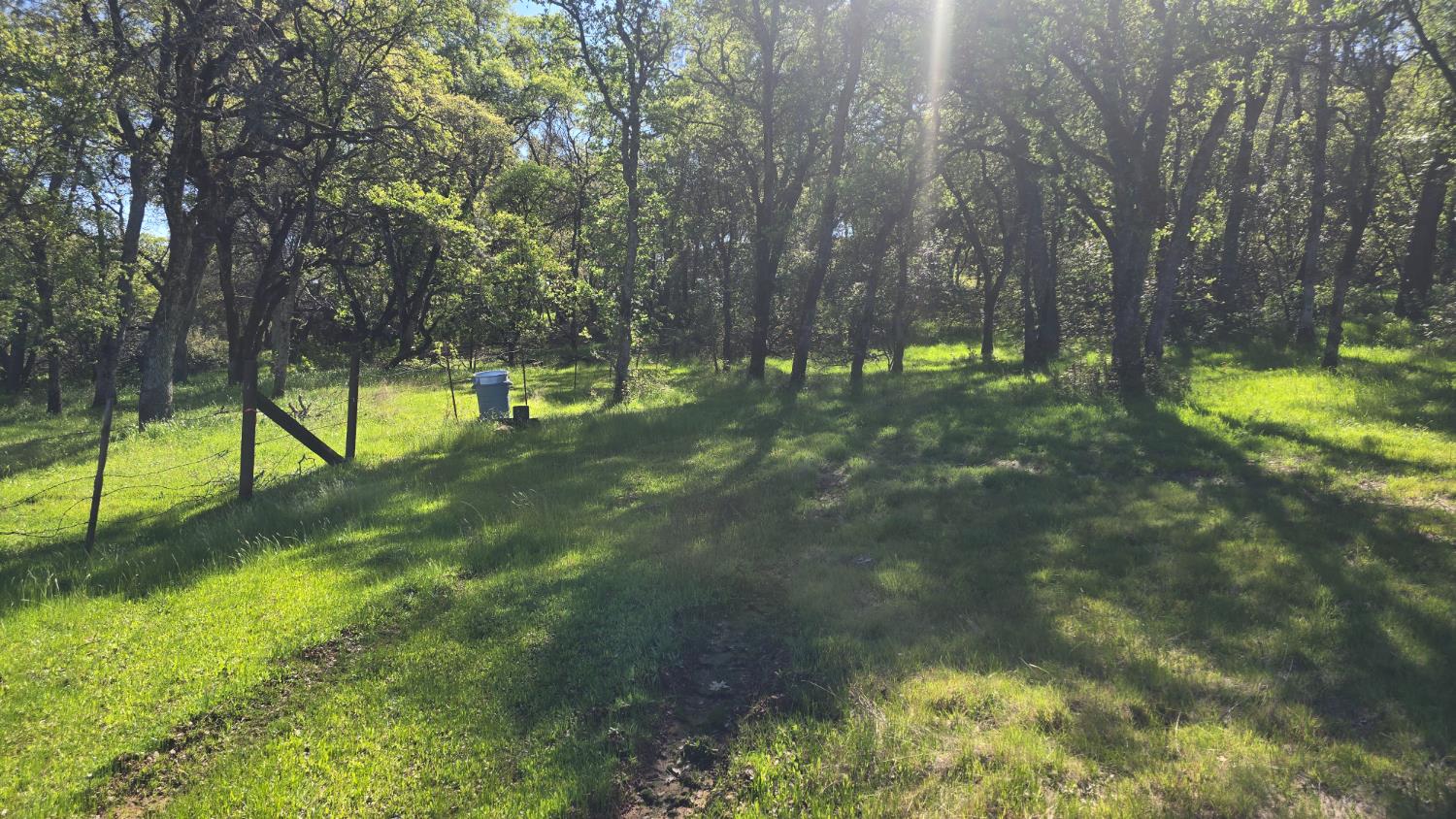11592 Peoria Road Browns Valley, CA 95918 - Photo 15 of 49 a view of yard