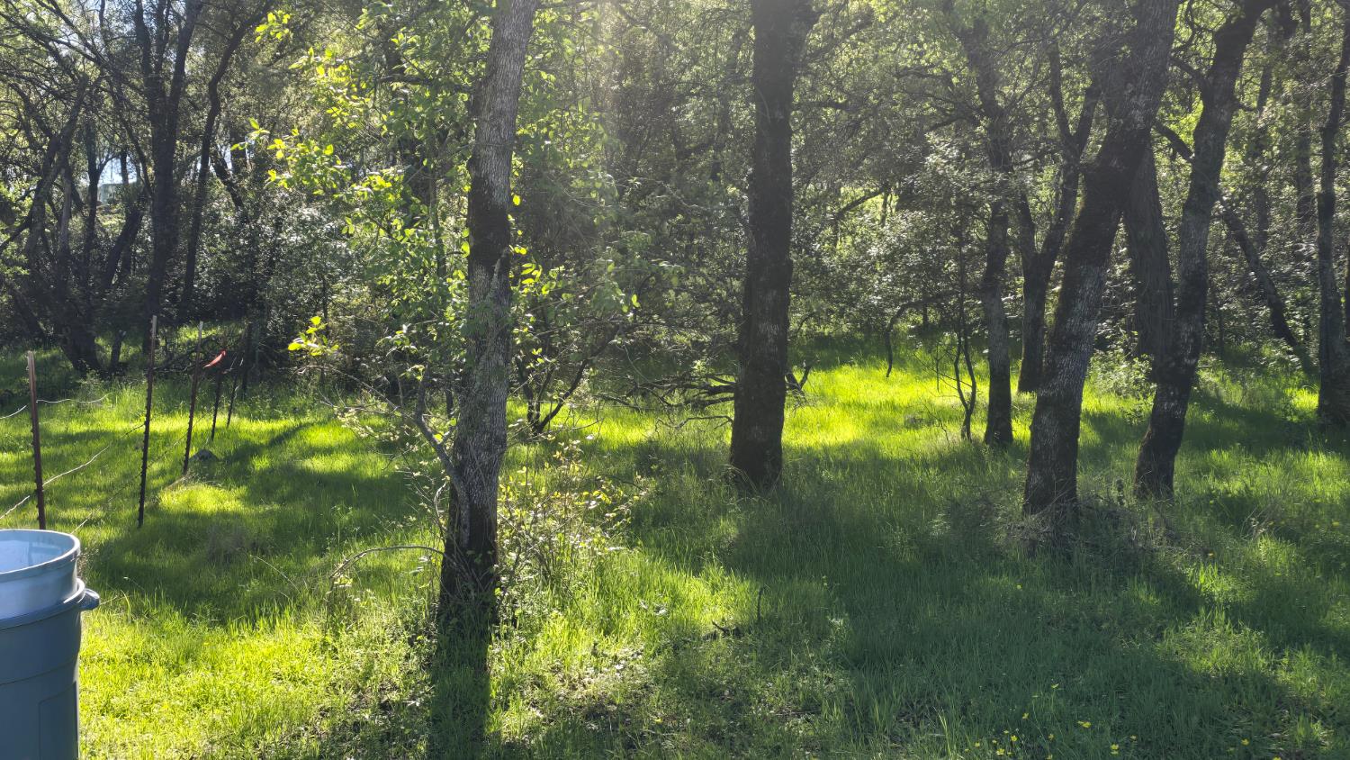 11592 Peoria Road Browns Valley, CA 95918 - Photo 16 of 49 a view of swimming pool from a balcony