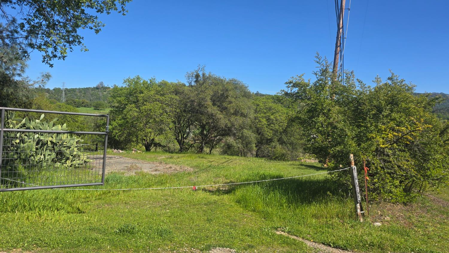 11592 Peoria Road Browns Valley, CA 95918 - Photo 24 of 49 a view of a garden with a lake