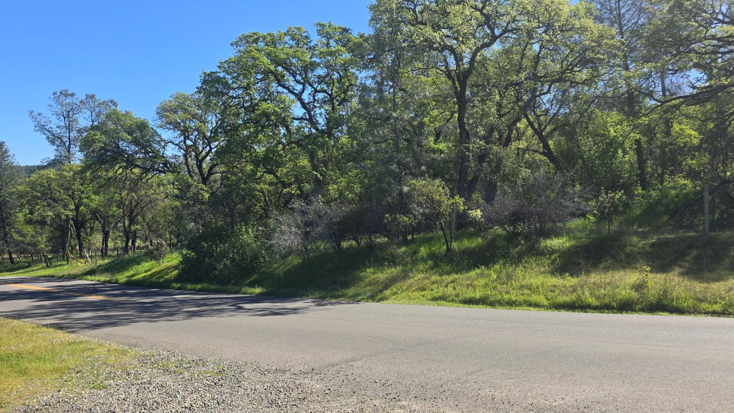 11592 Peoria Road Browns Valley, CA 95918 - Photo 25 of 49 a view of backyard with green space