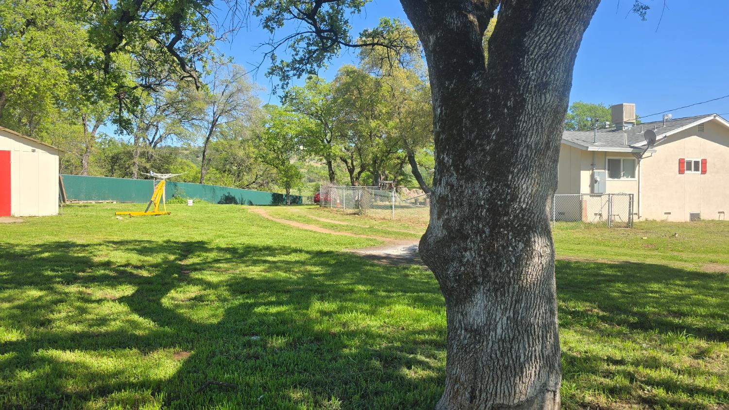 11592 Peoria Road Browns Valley, CA 95918 - Photo 26 of 49 a view of a tree in a yard with a tree