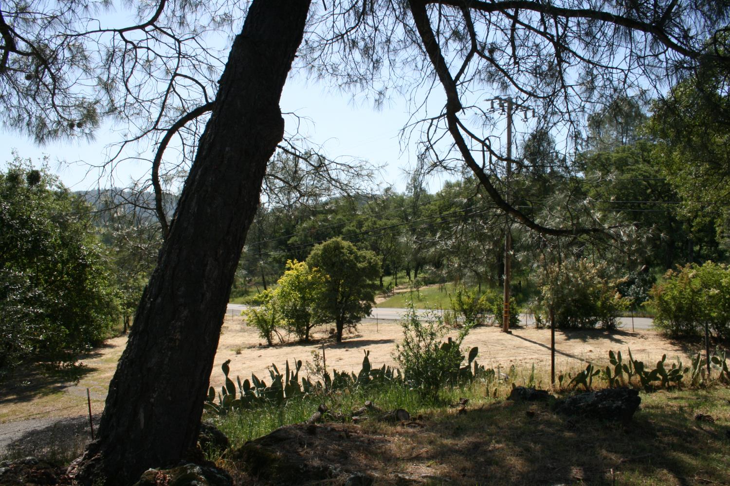 11592 Peoria Road Browns Valley, CA 95918 - Photo 38 of 49 a view of a yard
