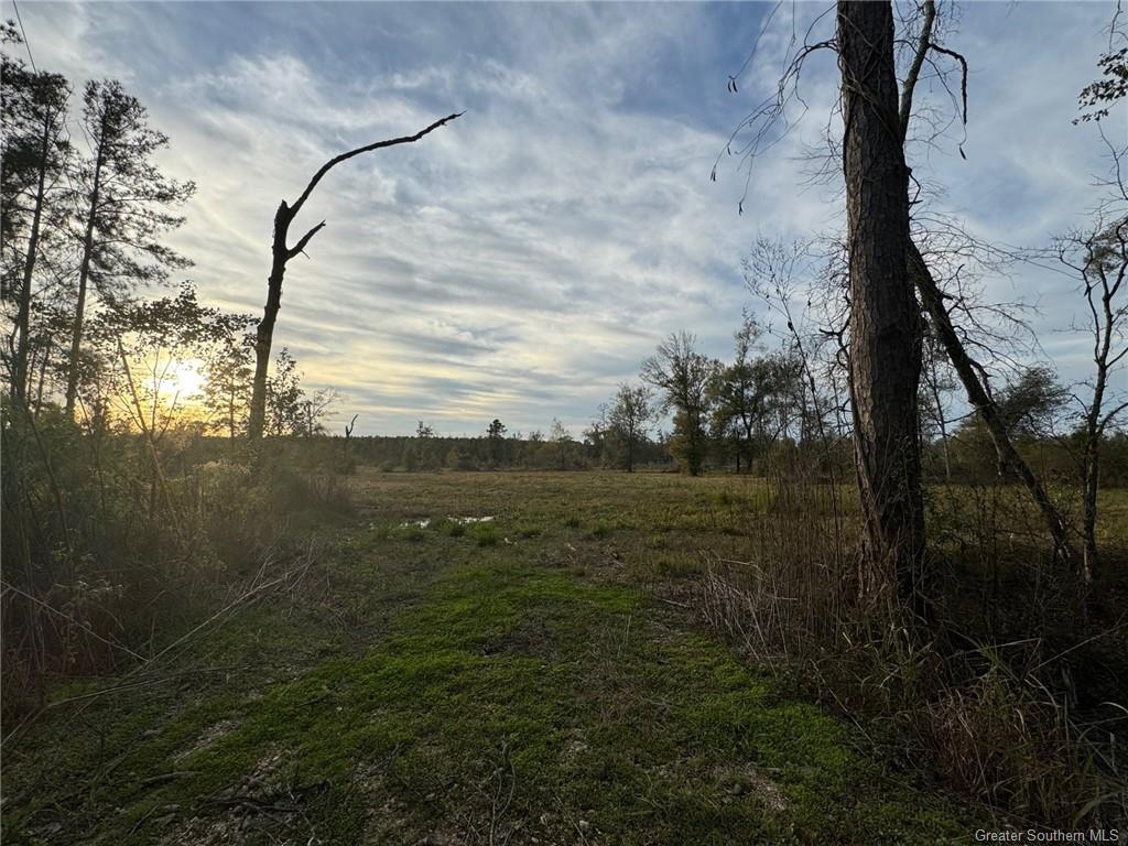 0 Kinder Cemetery Road Kinder, LA 70648 - Photo 2 of 4