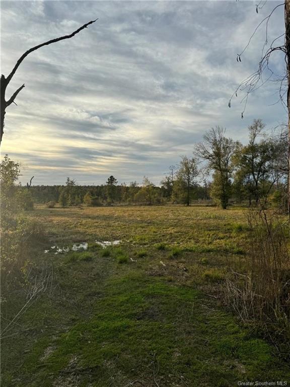0 Kinder Cemetery Road Kinder, LA 70648 - Photo 3 of 4