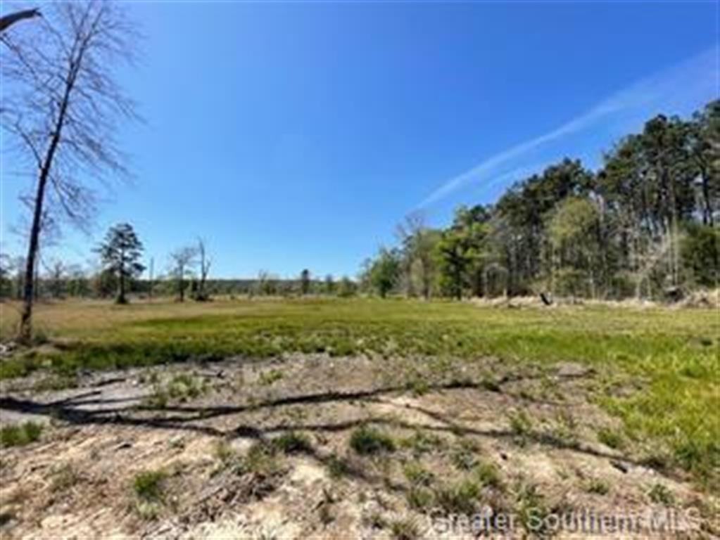 0 Kinder Cemetery Road Kinder, LA 70648 - Photo 4 of 4