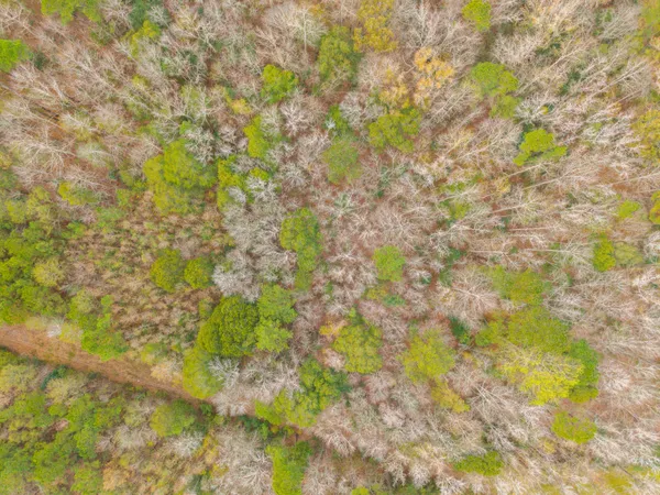 $159,000 | 263 Haynesville Extension, Moncks Corner, SC 29461