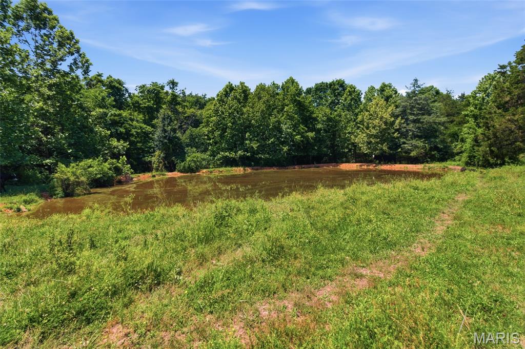 0 Pleasant Hill Road Mountain Grove, MO 65711 - Photo 42 of 51