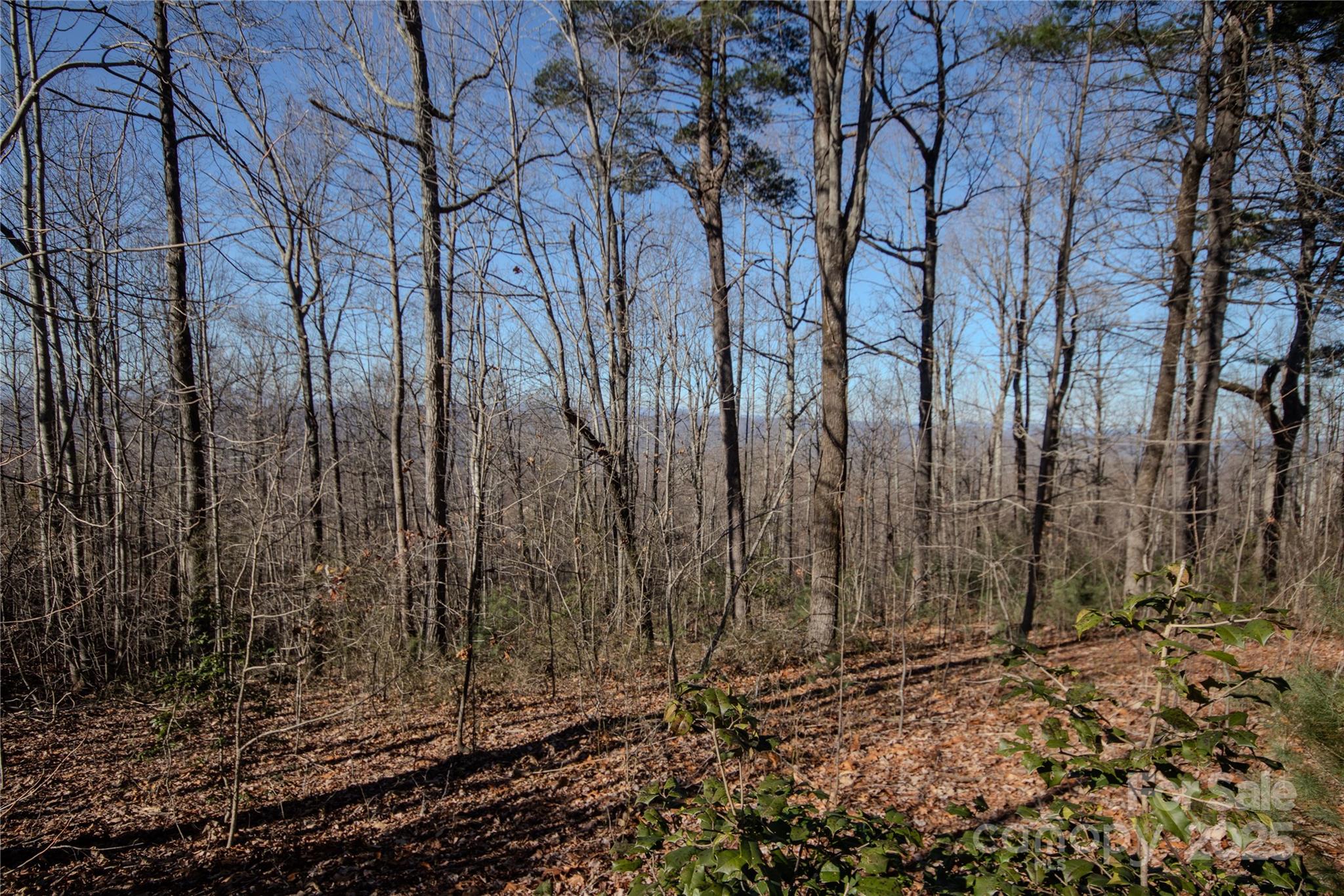 2220 Nighthawk Ridge Court, Unit 31 Lenoir, NC 28645 - Photo 11 of 16 a view of a backyard of the house