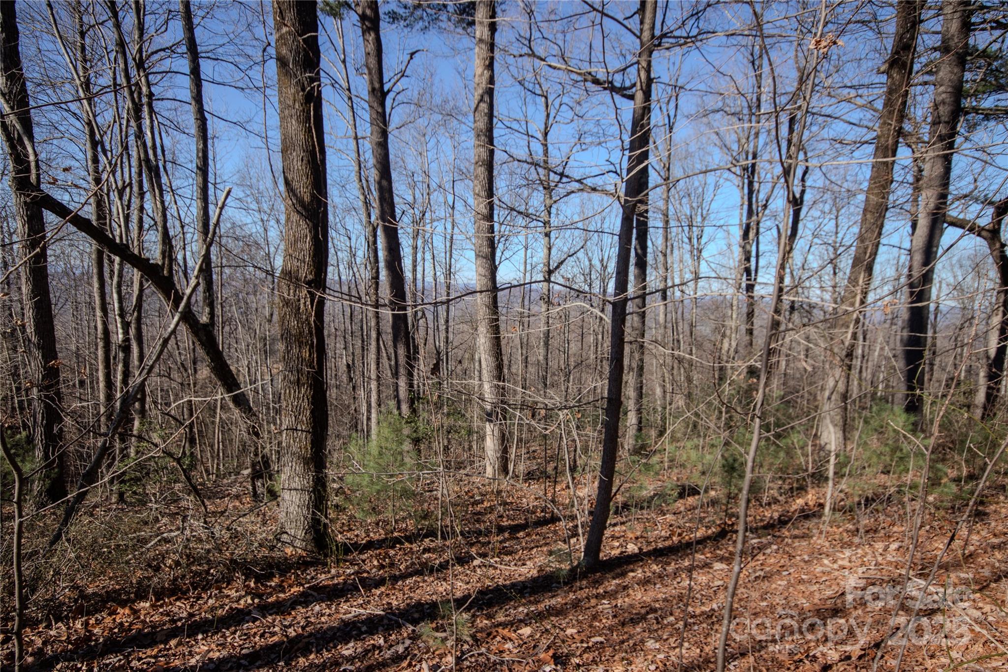 2220 Nighthawk Ridge Court, Unit 31 Lenoir, NC 28645 - Photo 13 of 16 a backyard of a house with lots of green space