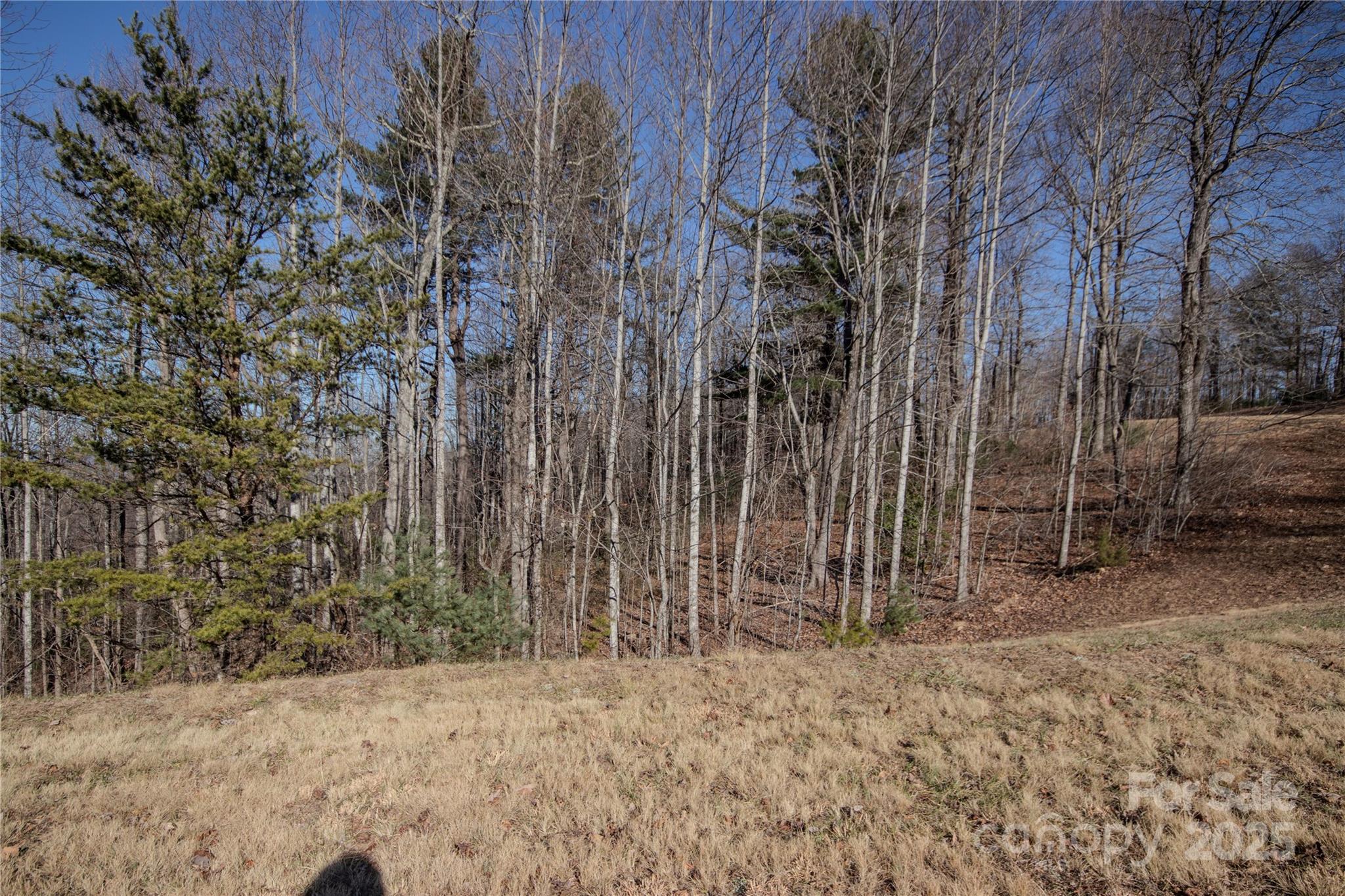 2220 Nighthawk Ridge Court, Unit 31 Lenoir, NC 28645 - Photo 14 of 16 a backyard of a house with lots of green space