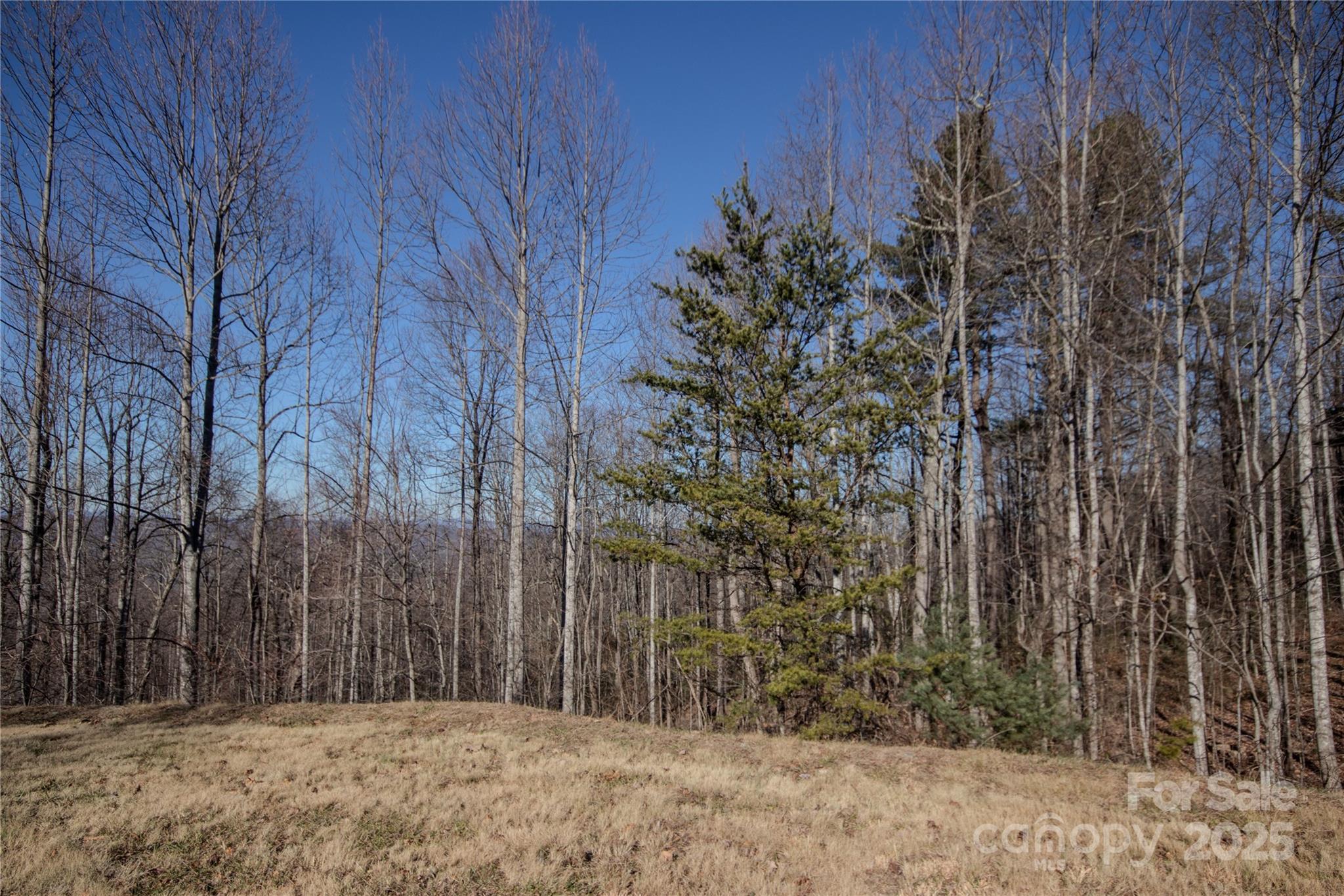 2220 Nighthawk Ridge Court, Unit 31 Lenoir, NC 28645 - Photo 15 of 16 a view of outdoor space and yard